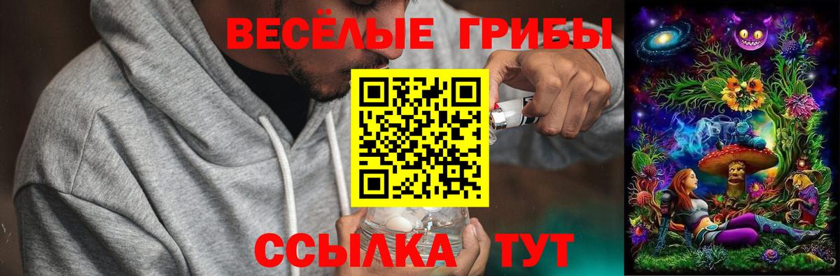 Лангепас  Галлюциногенные грибы мухоморы  Вход с VPN 