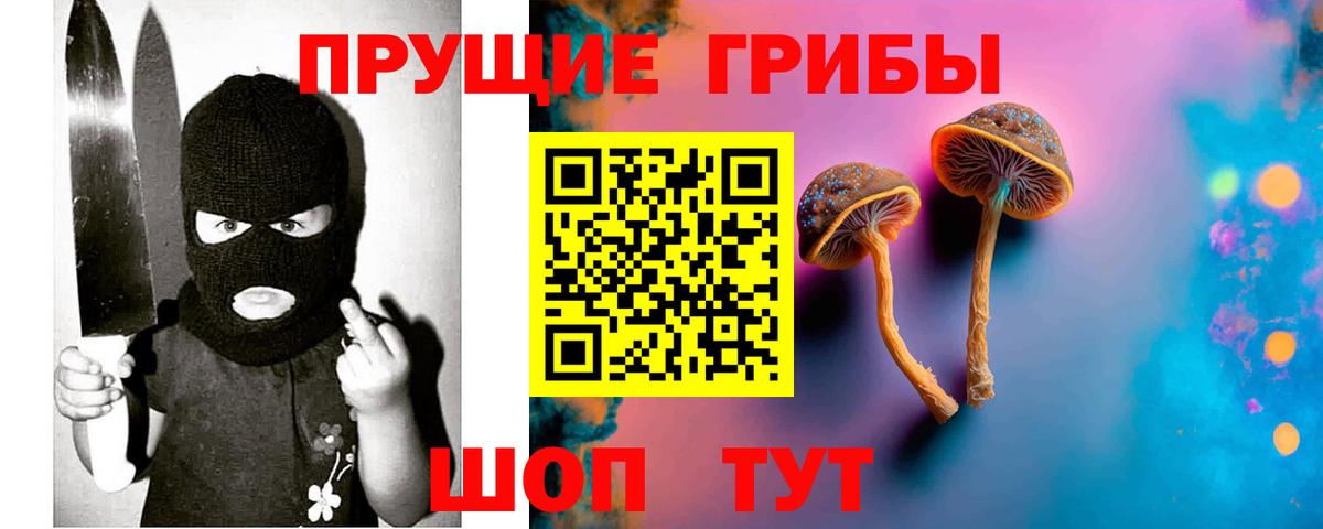 Псилоцибиновые грибы Psilocybe Лангепас